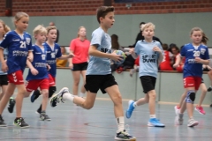 VolleyHandbball-E-Jgd20191110047 VolleyHandbball-E-Jgd20191110047