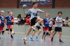 VolleyHandbball-E-Jgd20191110048 VolleyHandbball-E-Jgd20191110048
