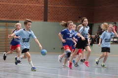 VolleyHandbball-E-Jgd20191110050 VolleyHandbball-E-Jgd20191110050