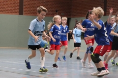 VolleyHandbball-E-Jgd20191110051 VolleyHandbball-E-Jgd20191110051
