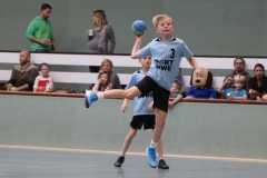VolleyHandbball-E-Jgd20191110052 VolleyHandbball-E-Jgd20191110052