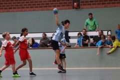 VolleyHandbball-E-Jgd20191110053 VolleyHandbball-E-Jgd20191110053
