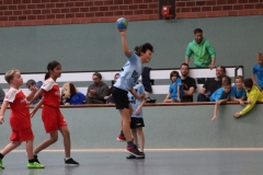 VolleyHandbball-E-Jgd20191110053