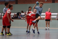 VolleyHandbball-E-Jgd20191110054 VolleyHandbball-E-Jgd20191110054