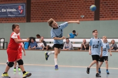VolleyHandbball-E-Jgd20191110055 VolleyHandbball-E-Jgd20191110055