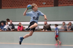 VolleyHandbball-E-Jgd20191110056 VolleyHandbball-E-Jgd20191110056