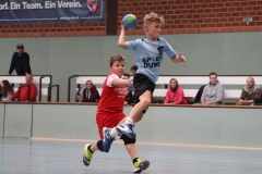 VolleyHandbball-E-Jgd20191110057 VolleyHandbball-E-Jgd20191110057