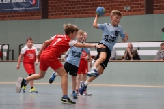 VolleyHandbball-E-Jgd20191110059 VolleyHandbball-E-Jgd20191110059