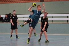 ofen-d-hoykenkamp-181907