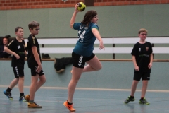 ofen-d-hoykenkamp-181918