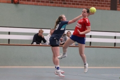 Handball002 Handball002