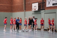 Handball003 Handball003