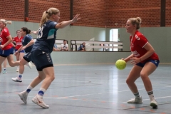 Handball012 Handball012