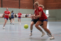 Handball013