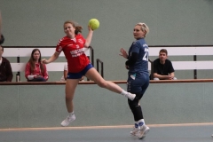Handball018 Handball018