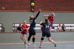 Handball019