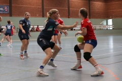 Handball025 Handball025