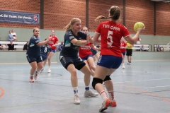 Handball027 Handball027