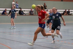 Handball031 Handball031