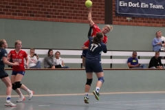 Handball037 Handball037