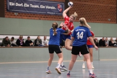 Handball20191124.002