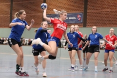 Handball20191124.005