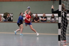 Handball20191124.007