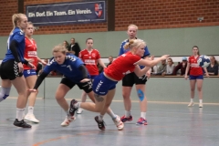 Handball20191124.010