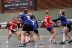 Handball20191124.012