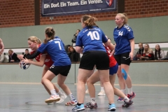 Handball20191124.013
