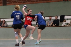 Handball20191124.015