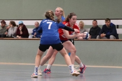 Handball20191124.016
