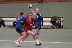 Handball20191124.017