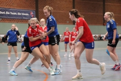 Handball20191124.022