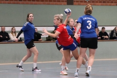 Handball20191124.027
