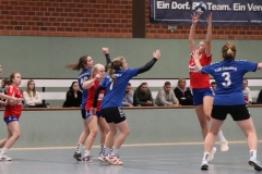 Handball20191124.030