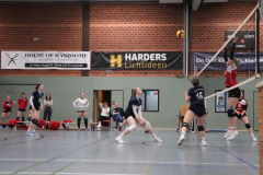 Volley202503150004 Volley202503150004