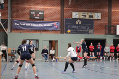 Volley202503150006