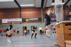 Volley202503150020