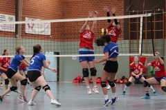 Volleyt003