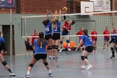Volleyt004