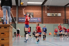 Volleyt005