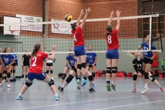 Volleyt007