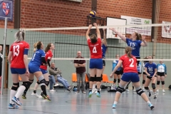 Volleyt008