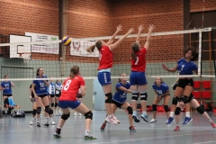 Volleyt010