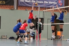 Volleyt013
