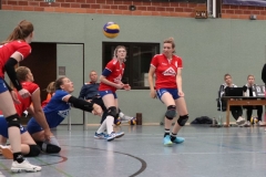 Volleyt014