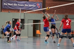 Volleyt015