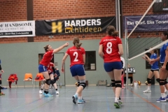 Volleyt017