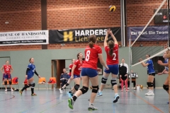 Volleyt018